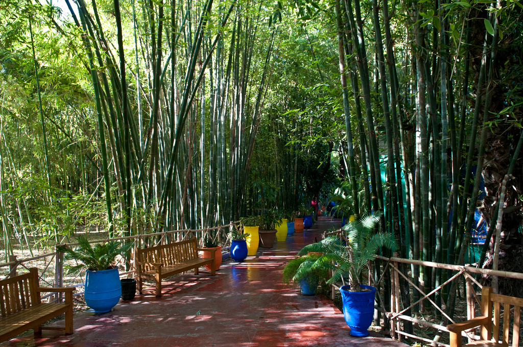 5364618337_89046785ea_b